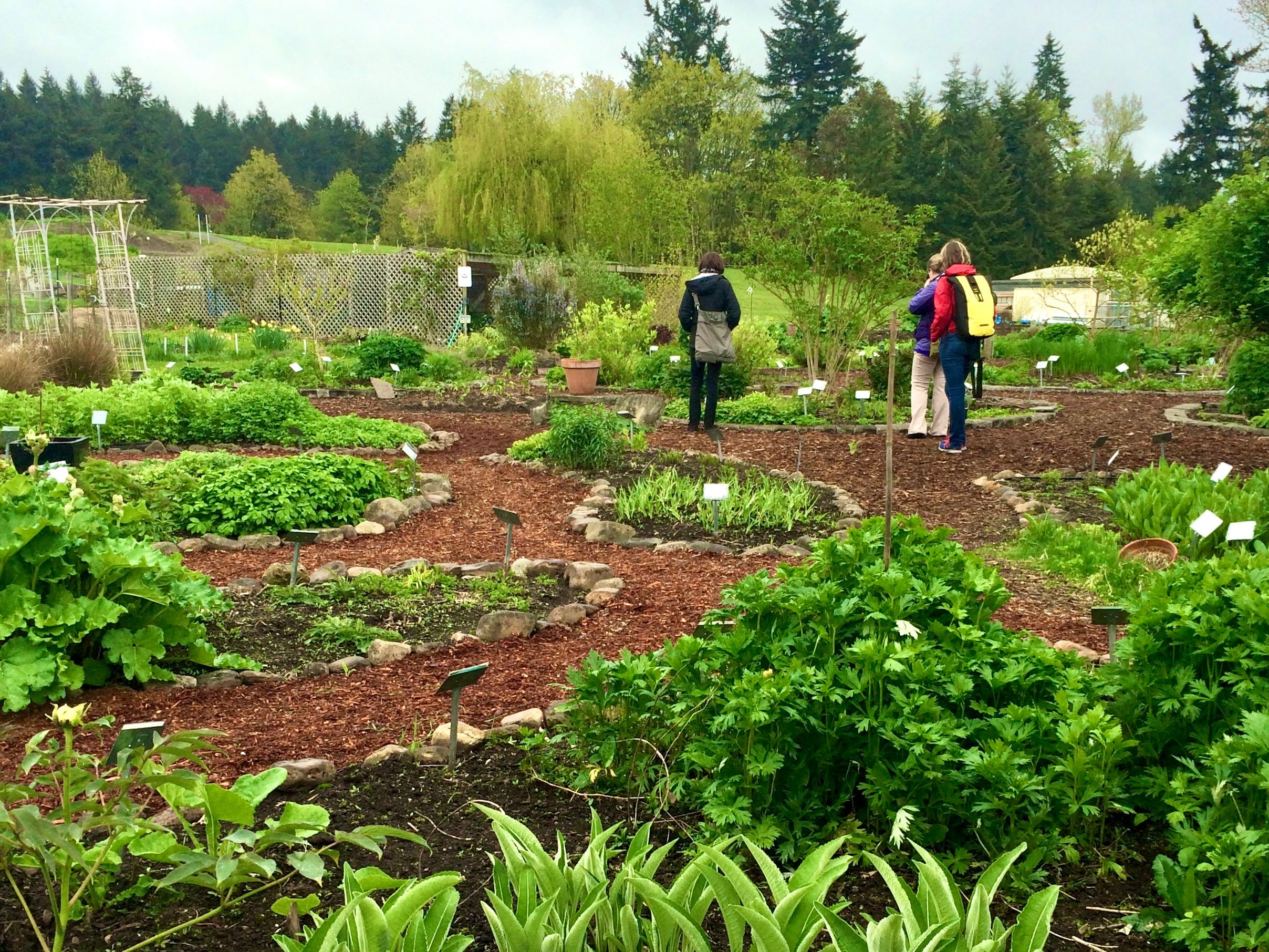 Bastyr Garden Grown Bastyr Natural Medicine Shop