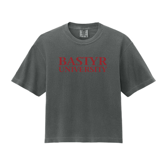 Bastyr Heavyweight Boxy T-Shirt Womens - Charcoal w/ Cranberry
