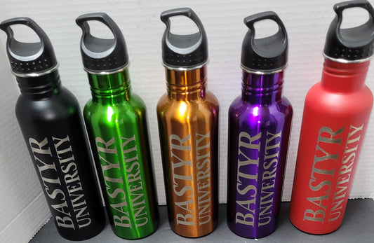 Bastyr 25 oz. Stainless Steel Water Bottle
