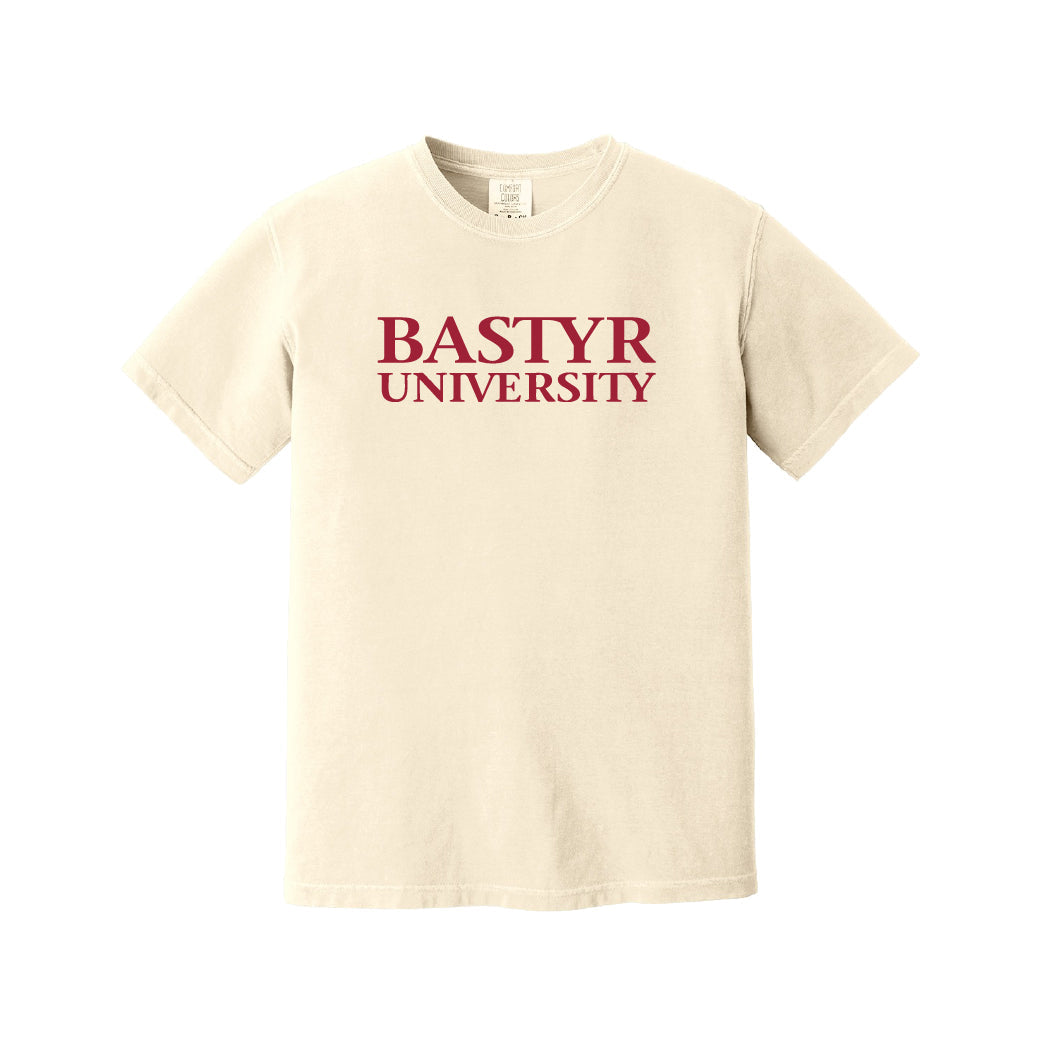 Bastyr Heavyweight Ringspun T-Shirt - Ivory
