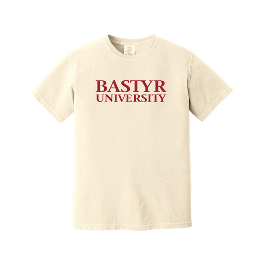 Bastyr Heavyweight Ringspun T-Shirt - Ivory