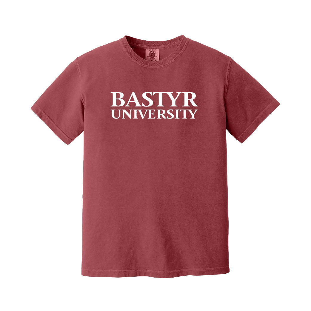 Bastyr Heavyweight Ringspun T-Shirt - Rhubarb