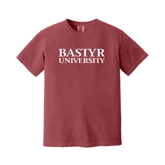 Bastyr Heavyweight Ringspun T-Shirt - Rhubarb