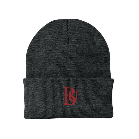 Bastyr Knit Cap Beanie - Charcoal w/ Cranberry BU