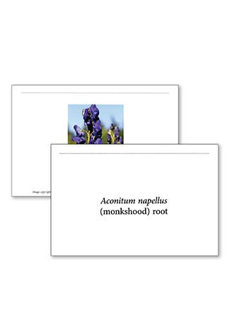 NPLEX Flash Cards - Botanical Medicine