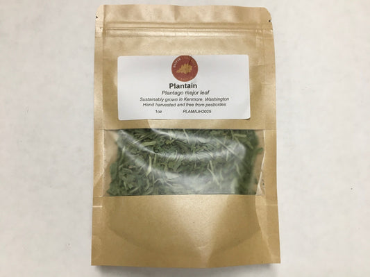 Bastyr Garden Grown: Plantain Leaf Herb - Plantago