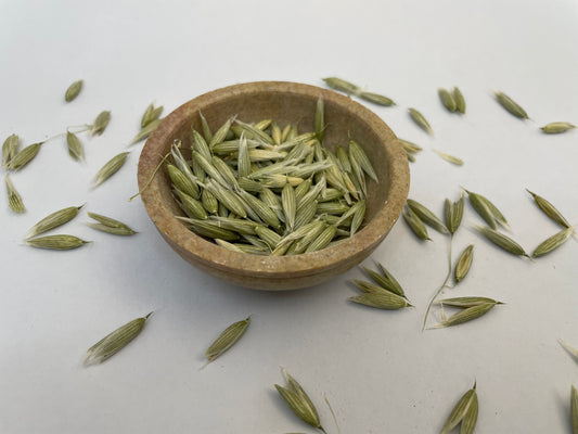 Oat Milky Pods Herb - Avena sativa (seed)