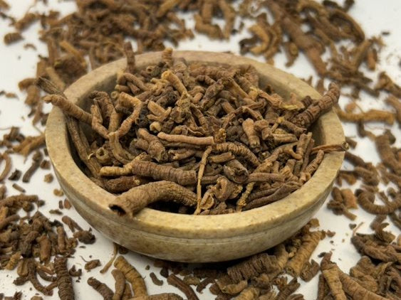 Yulkaning eshagi Yulkaning eshagi