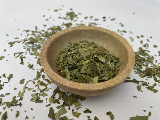 Broadleaf Plantain Herb - Plantago major (leaf)
