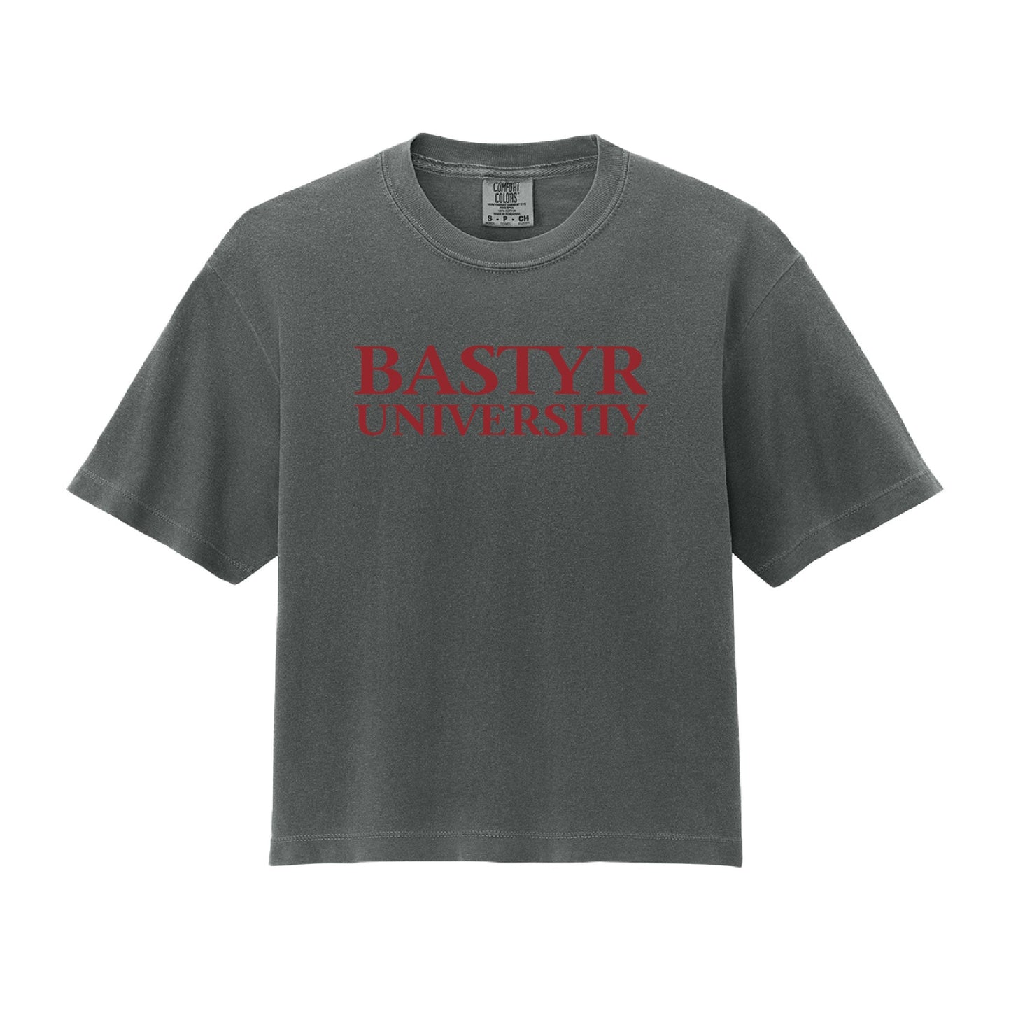 Bastyr Heavyweight Boxy T-Shirt Womens - Charcoal w/ Cranberry