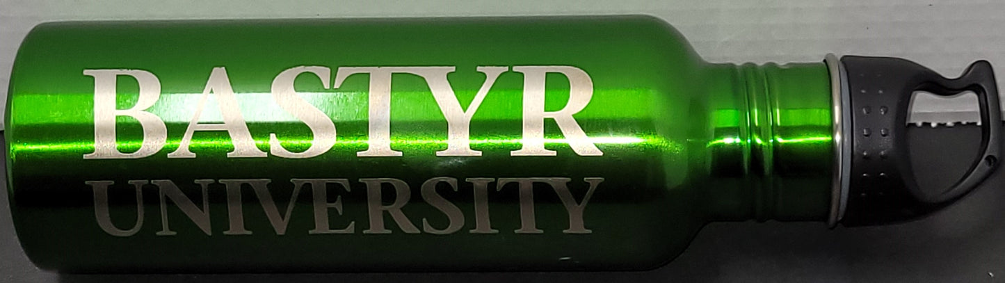 Bastyr 25 oz. Stainless Steel Water Bottle