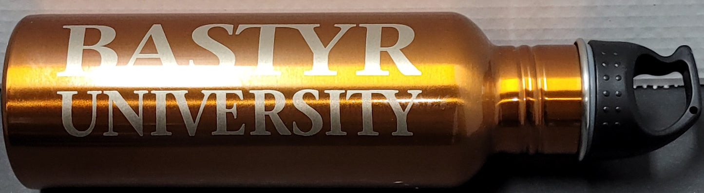 Bastyr 25 oz. Stainless Steel Water Bottle