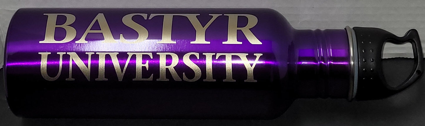 Bastyr 25 oz. Stainless Steel Water Bottle
