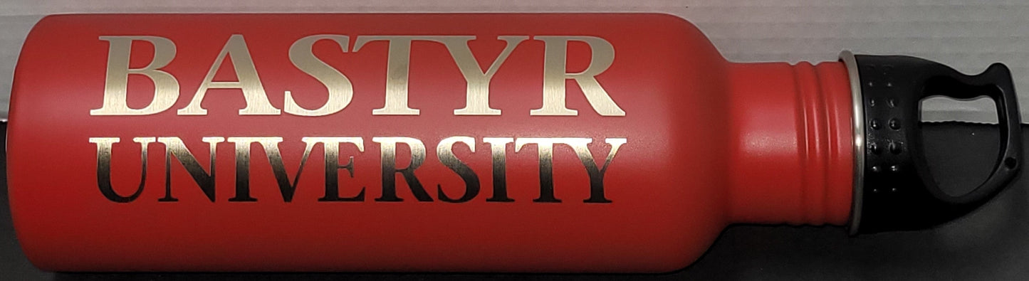 Bastyr 25 oz. Stainless Steel Water Bottle