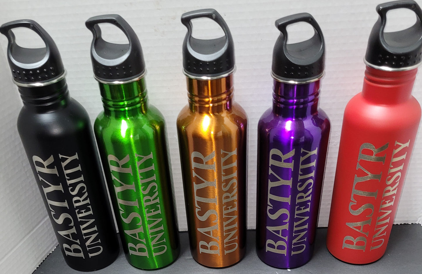 Bastyr 25 oz. Stainless Steel Water Bottle