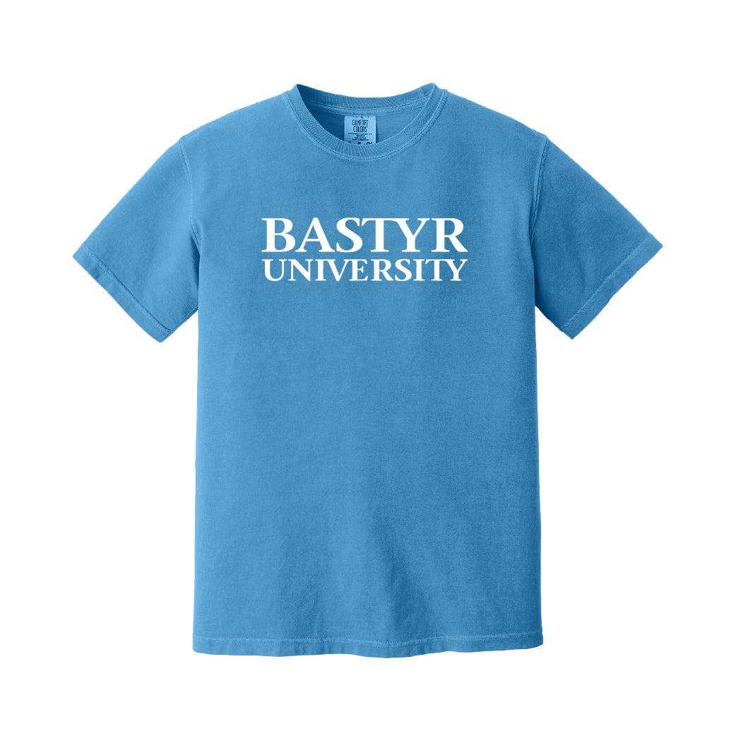 Bastyr Heavyweight Ringspun T-Shirt - Bluebird