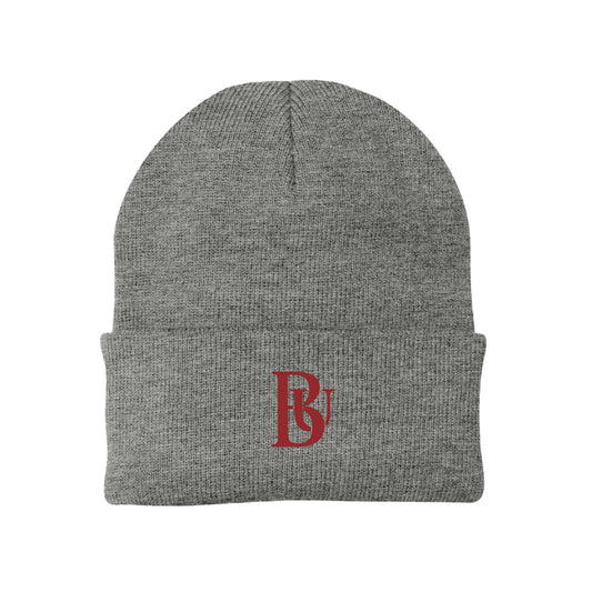 Bastyr Knit Cap Beanie  - Light Grey w/ Cranberry BU