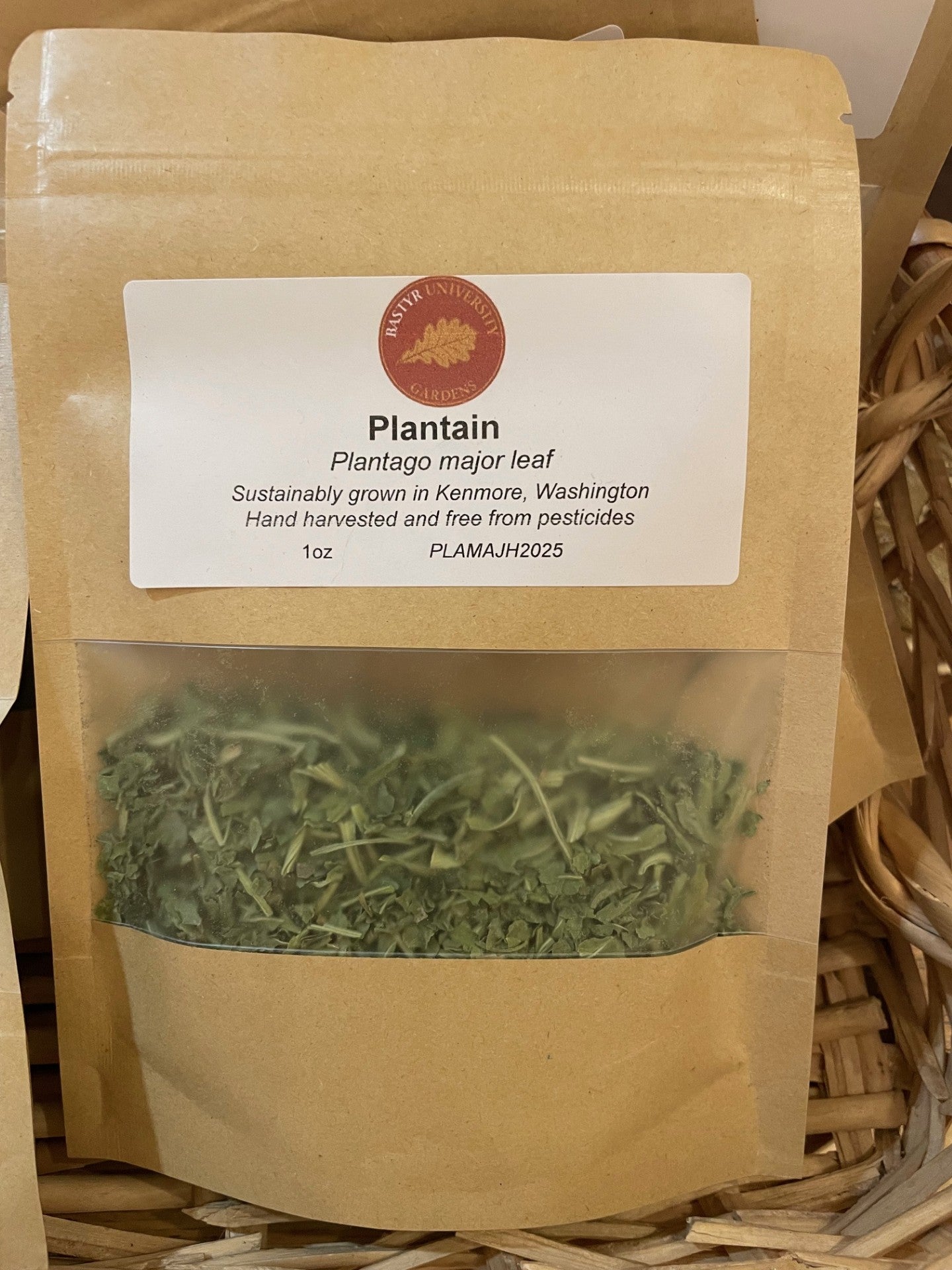 Bastyr Garden Grown: Plantain Leaf Herb - Plantago